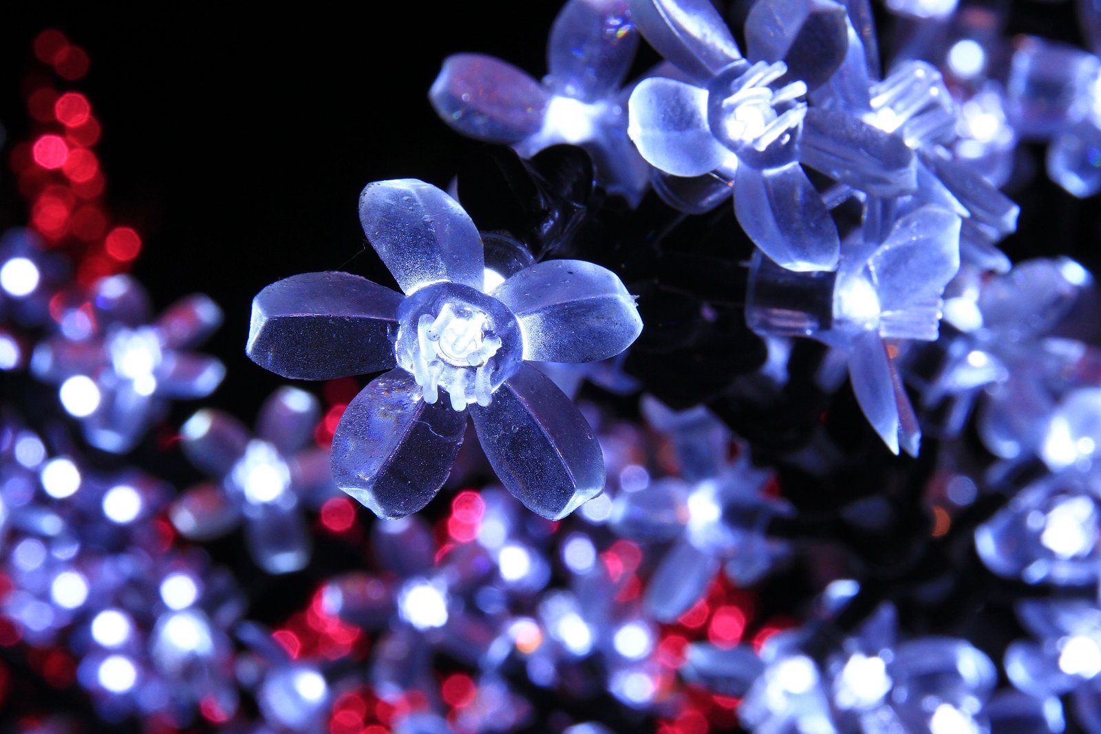 luces de navidad